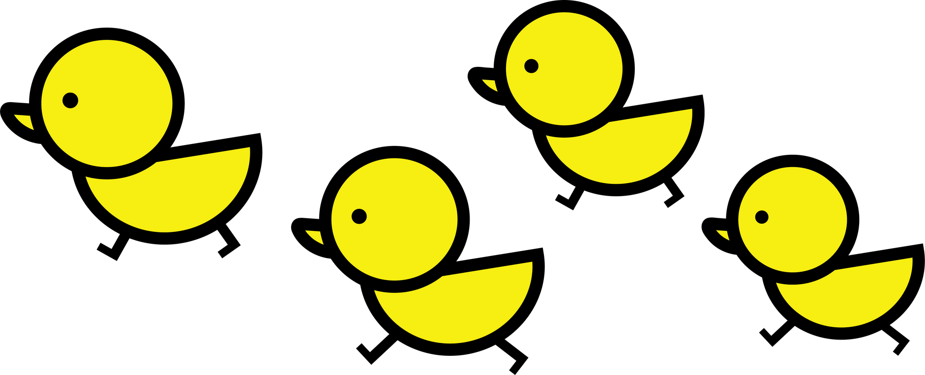 A flock of chicks of different sizes, flock, poultry